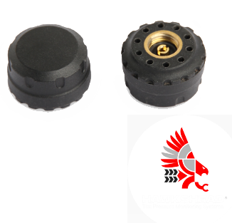 Additional Motorcycle Tire Pressure and Temperature Sensor